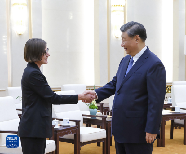 习近平会见红十字国际委员会主席斯波利亚里茨2.jpg